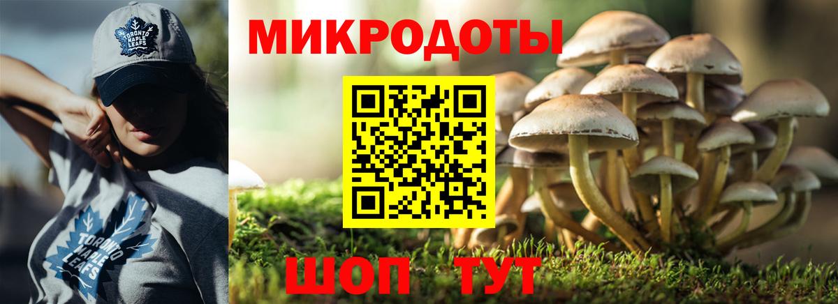 Псилоцибиновые грибы GOLDEN TEACHER  Вход с VPN  Псилоцибиновые грибы Psilocybe  Малоярославец 